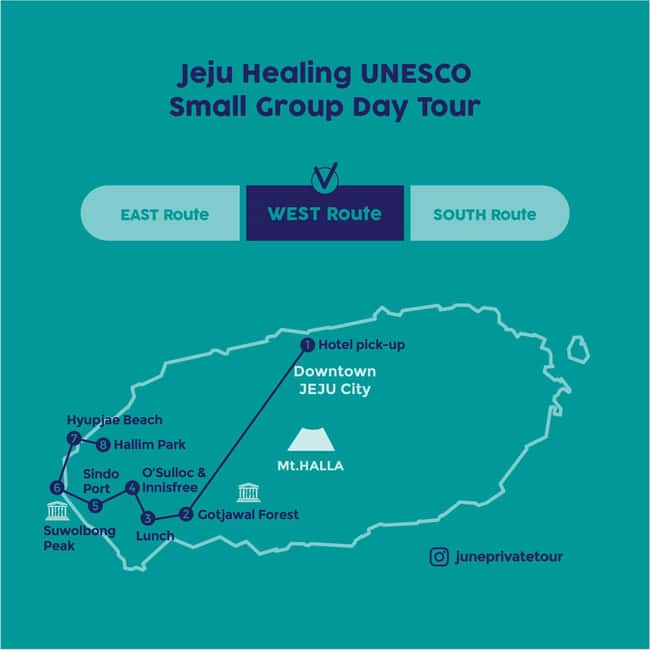 Jeju: West Healing UNESCO Small Group Tour & DolphinWatching - Key Points to Know Before You Go