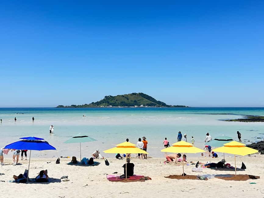 Jeju: West Healing UNESCO Small Group Tour & DolphinWatching - Gotjawal UNESCO: The Forest Walk That Feels Like Breathing Better