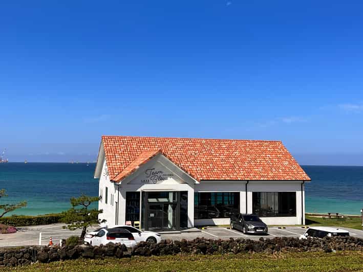 Jeju: West of Jeju Island Bus Tour from Seogwipo City - Camellia Hill plus O’sulloc and Innisfree: tea country in real time