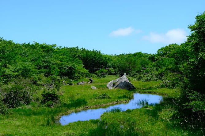 Jeju WEST&SOUTH One Day Tour with MT.halla & Aewol - Aewol Cafe Street and Handam Beach Sunset Time