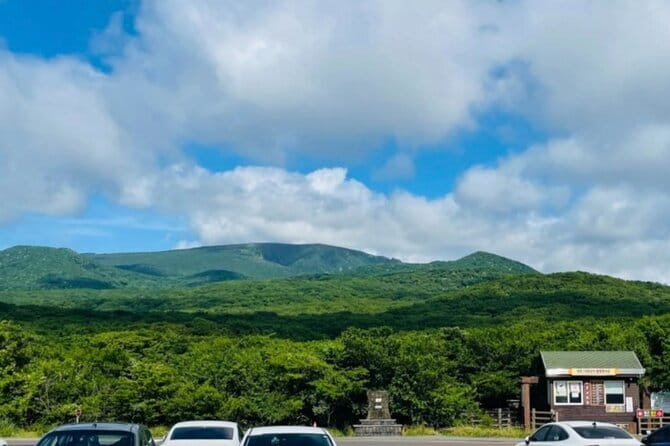 Jeju Western and Southern Routes Sightseeing Day Tour - Paying $51.92: What You Actually Get for Your Money