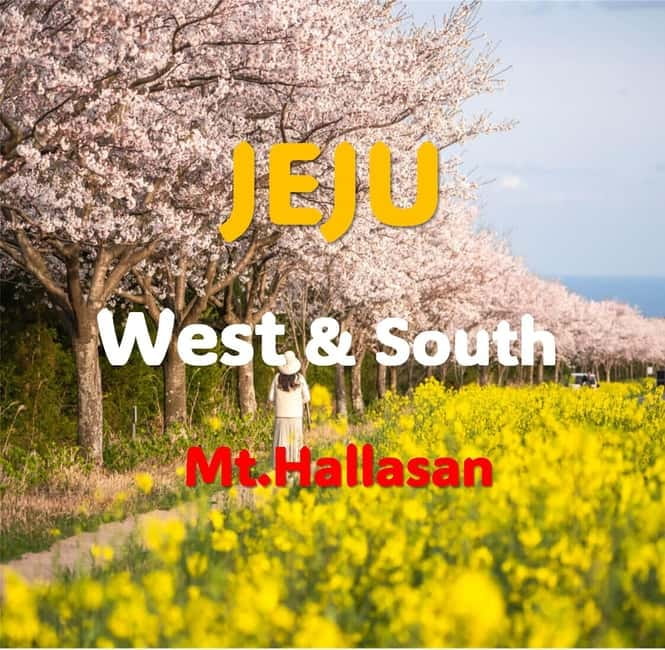 Jeju: Western and Southern Sightseeing Day Tour - O’sulloc Green Tea Museum and fields: culture plus snackable rewards