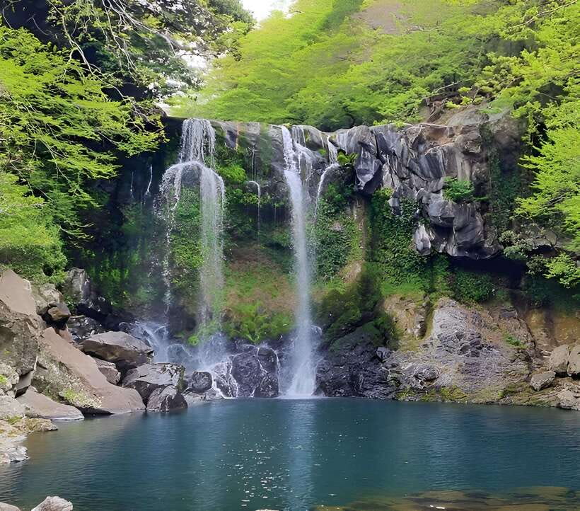 Jeju: Western & Southern Jeju Hydrangea Festival Tour - Lunch at a local restaurant, plus how the vegetarian menu works in practice
