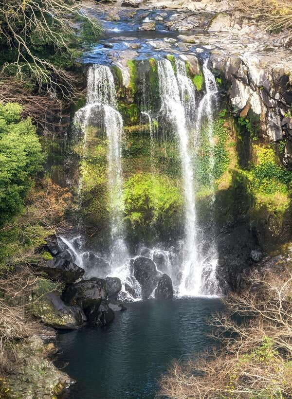 Jeju: Western & Southern Jeju Hydrangea Festival Tour - Price and value: what $90 buys, and what costs extra