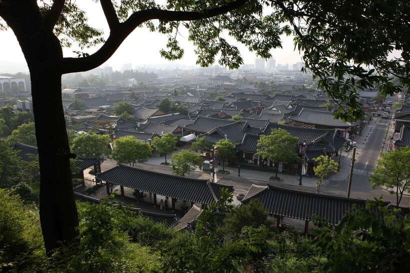 Jeonju: Essence of Jeonju, Hanok Village & Maisan Mountain - Meet BH Chung, then get on a smooth van schedule