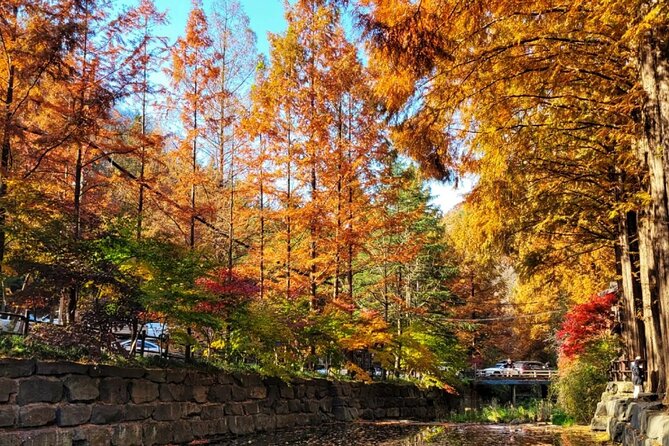 Jeonju Hanok Village Full-Day Tour: Jangtaesan Autumn Foliage - Why This Autumn Combo Works So Well