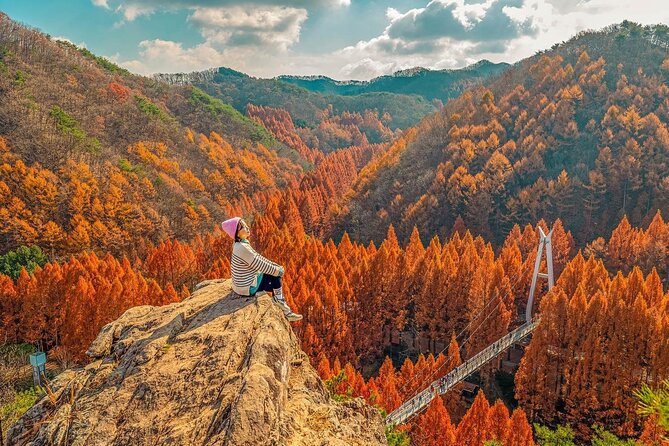 Jeonju Hanok Village Full-Day Tour: Jangtaesan Autumn Foliage - Time Management, Rest Stops, and the Reality of a 13 to 14 Hour Day