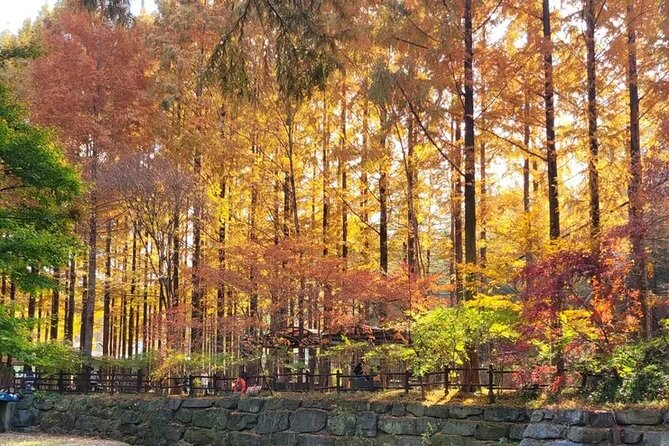 Jeonju Hanok Village Full-Day Tour: Jangtaesan Autumn Foliage - Lunch Plans: What You Should Expect (And How to Handle It)