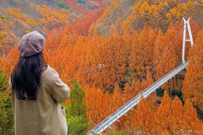 Jeonju Hanok Village Full-Day Tour: Jangtaesan Autumn Foliage - Price and Value: Does $60.17 Make Sense?