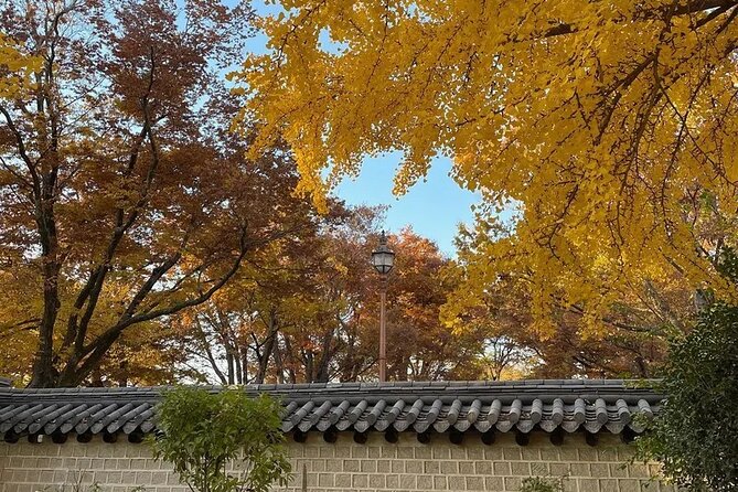 Jeonju Hanok Village Full-Day Tour: Jangtaesan Autumn Foliage - Weather and Flexibility: When Autumn Weather Changes the Plan