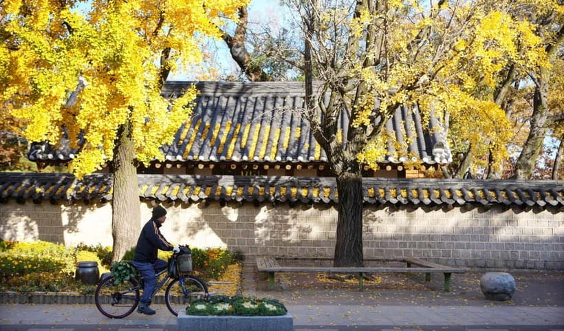 Jeonju Hanok Village Full-Day Tour:Jangtaesan Autumn Foliage - Quick verdict: should you book this Jeonju and Jangtaesan day trip?