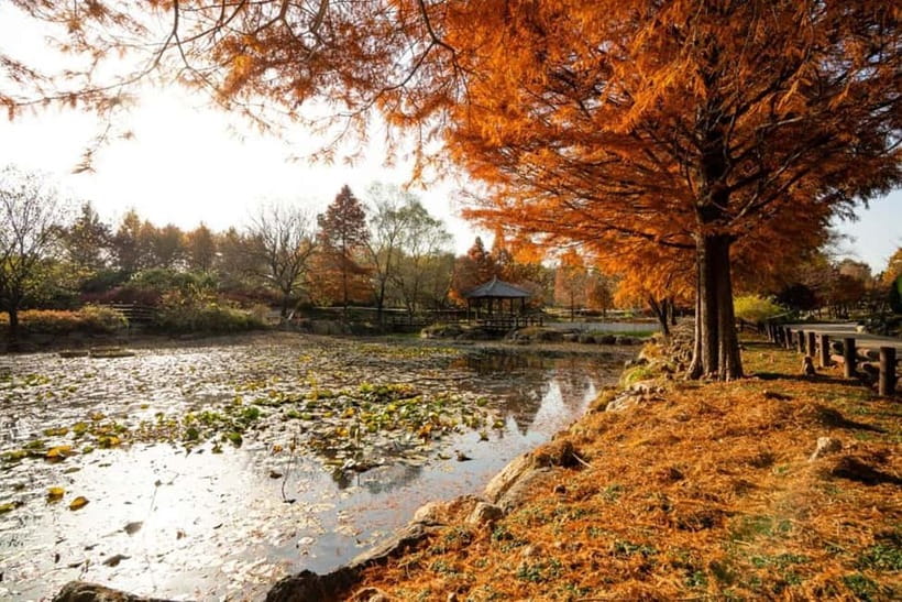 Jeonju: Private Taxi Tour Car Charter - Jaman Mural Village, Movie Street, and photo-friendly creativity