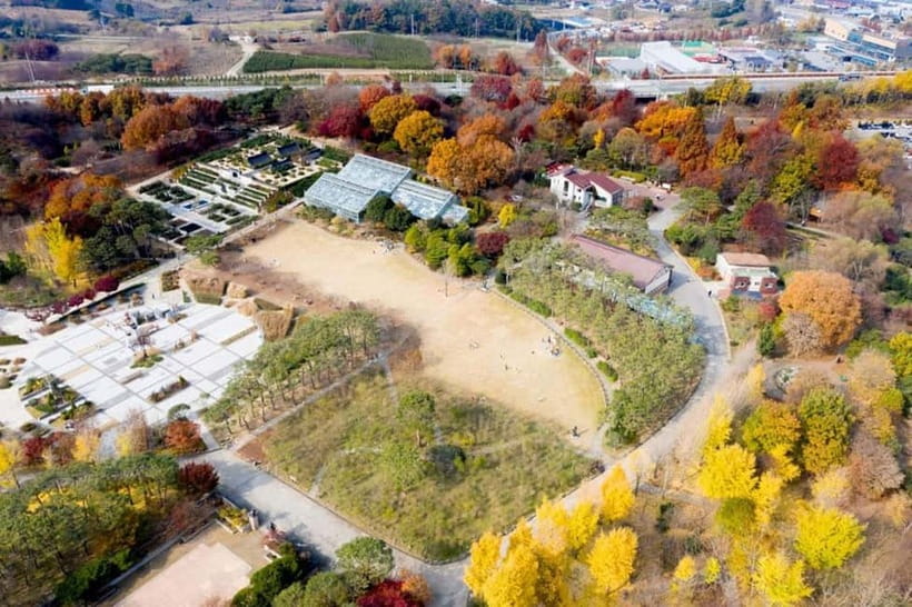 Jeonju: Private Taxi Tour Car Charter - Arboretum and other “walkable but not exhausting” stops