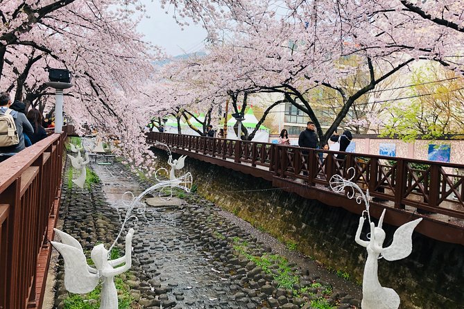 Jinhae Cherry Blossom + Busan Sunrise from Seoul - Why this Jinhae Cherry Blossom + Busan Sunrise combo works