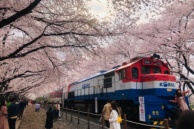 Jinhae Cherry Blossom + Busan Sunrise from Seoul - Haeundae Beach morning: enjoy the shoreline, but plan for food
