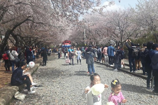 Jinhae Cherry Blossom + Busan Sunrise from Seoul - Haedong Yonggungsa Temple sunrise: the best reason to do this