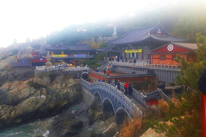 Jinhae Cherry Blossom + Busan Sunrise from Seoul - Yeojwacheon Stream and Gyeonghwa Station: two blossom styles, one focus day
