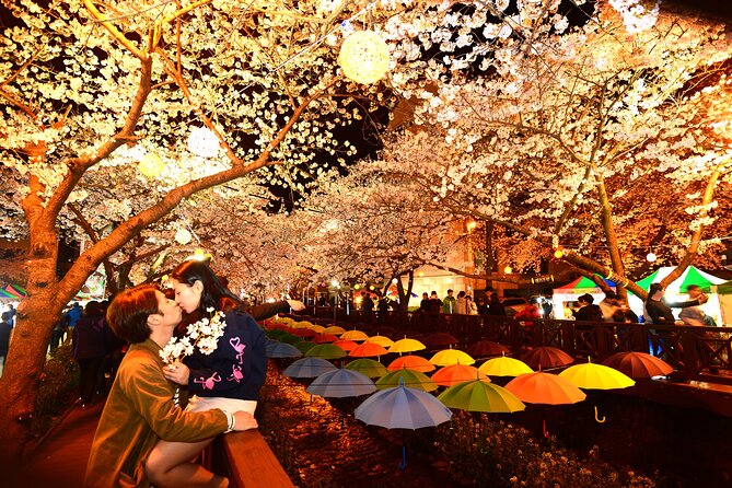 Jinhae Cherry Blossom Day trip from Busan - A Spring Adventure! - Jinhae Post Office Festival Streets, Built in 1912
