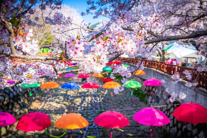 Jinhae Cherry Blossom Festival Gyeonghwa Stn Day Tour from Seoul - Stop 1: Yeojwacheon Stream, Romance Bridge, and What to Do With Your 2 Hours 10 Minutes