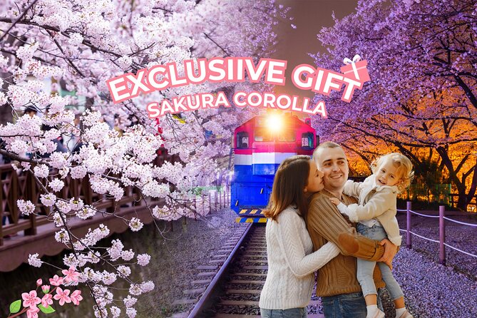 Jinhae's Cherry Blossoms Shuttle Bus depart from Seoul/Busan - Jinhae Gunhangje Festival: your first sakura gift moment