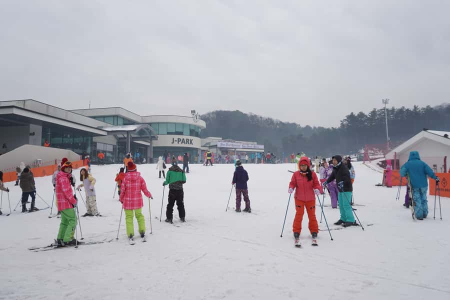 Jisan Forest Resort: Ski Full-Day Tour or Shuttle from Seoul - Your Options: Basic Ski Tour vs Full Package vs Shuttle Only