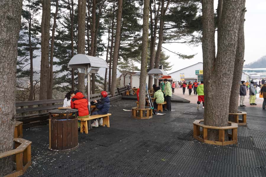 Jisan Forest Resort: Ski Full-Day Tour or Shuttle from Seoul - Who Should Book This Ski Day Trip (and Who Should Skip It)