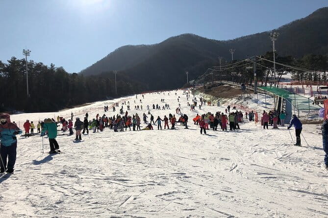 Jisan Forest Ski Resort and Everland 1 Day Tour - Jisan Forest Ski Resort and Everland: a long day with a smart payoff