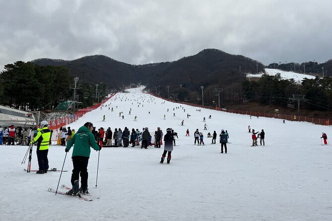 Jisan Forest Ski Resort and Everland 1 Day Tour - Gloves, goggles, helmets, and the cold reality check