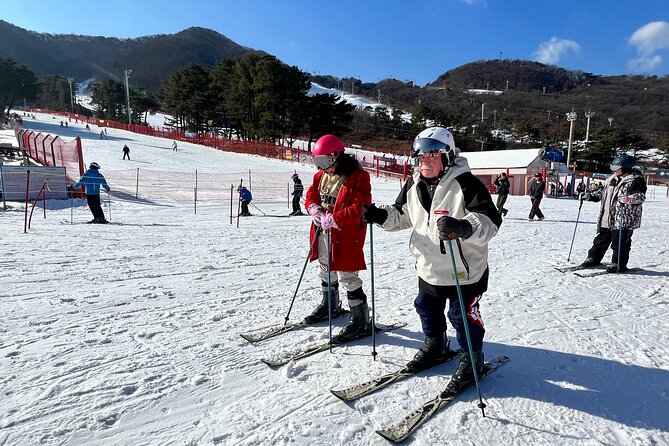 Jisan Ski Resort from Seoul by Shuttle(Opt Winter Skiing Package) - Cheongha Plus red pine capsule stop on the way back