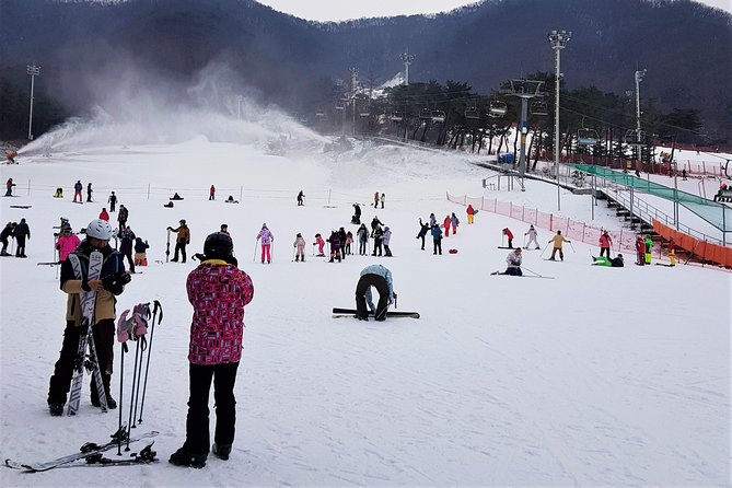 Korea Ski Tour from Seoul - Jisan Resort with Isaac Toast - Guide and Group Experience: English Skills Matter More Than You Think
