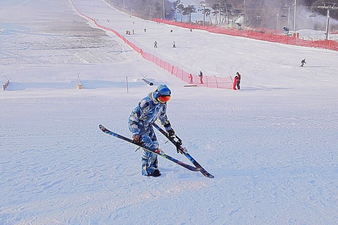 Korea Ski Tour from Seoul - Jisan Resort with Isaac Toast - Should You Book This Seoul Ski Day Trip to Jisan?
