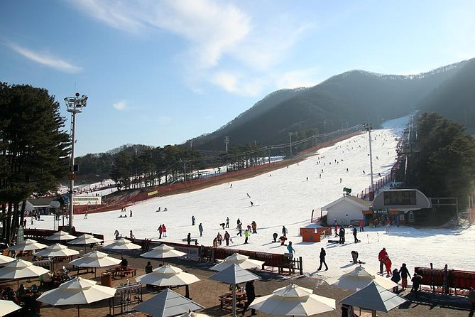 Korea Ski Tour from Seoul - Jisan Resort with Isaac Toast - The Ski Lesson: How the 120 Minutes Really Helps Beginners