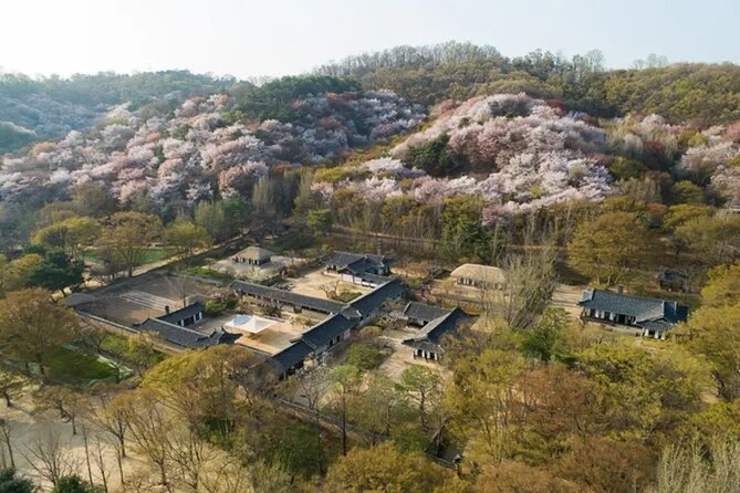 Korean Folk Village Afternoon Half day Tour - Traditional performance rules: How rain and snow change your day