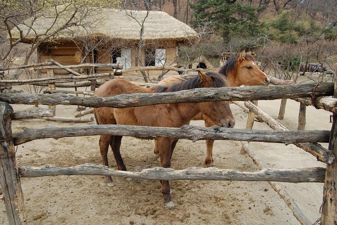 Korean Folk Village Afternoon Tour from Seoul - Artifact Collections: Ancient Objects Without the Museum Guesswork