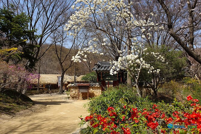 Korean Folk Village Half-day Guided Tour from Seoul - Price and value: is 63 USD worth it from Seoul?