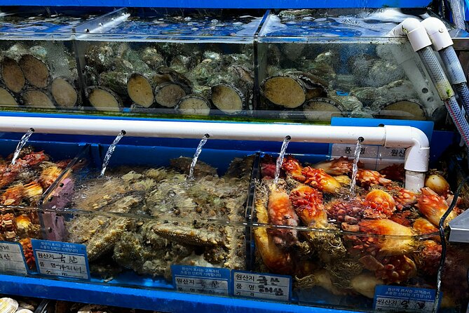 Korean Market Adventure with Chef Yie - Noryangjin Fish market - The included meal: turning what you chose into Korean restaurant food