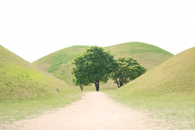 Korean UNESCO World Heritage Tour including Gyeongju, Andong and Daegu(2N3D) - A private UNESCO route that saves you from Korean logistics