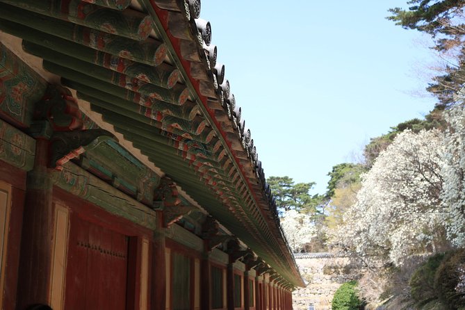 Korean UNESCO World Heritage Tour including Gyeongju, Andong and Daegu(2N3D) - Price and value: what you’re really paying for at $988.49 per person