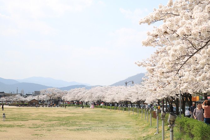 Korean UNESCO World Heritage Tour including Gyeongju, Andong and Daegu(2N3D) - Tips to make this UNESCO tour feel effortless
