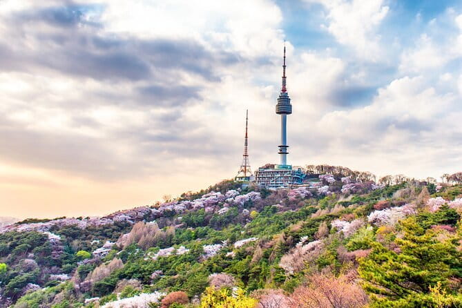 Lee’s Private 4-hour Customized Seoul Tour - Price and Value, Plus Who This Tour Is For