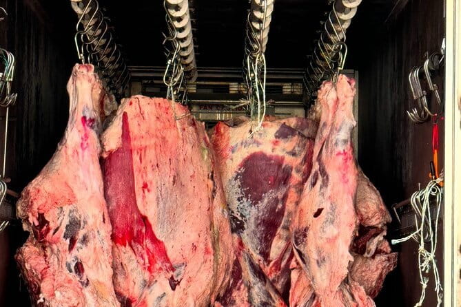 Majang Meat Market Experience: Private Tour with Han-woo Beef BBQ - Where you meet: Yongdu Station exit 4 and Inteokan