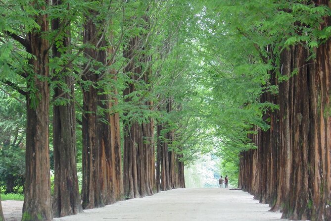 Mount Seorak and Nami Island One Day Tour from Seoul - Two Nature Icons Outside Seoul in One Long Day