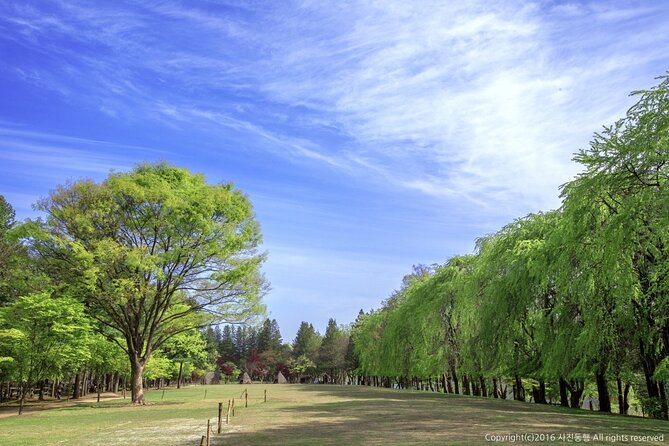 Mount Seorak and Nami Island One Day Tour from Seoul - Picking the Right Seoraksan Route (So You Don’t Feel Rushed)