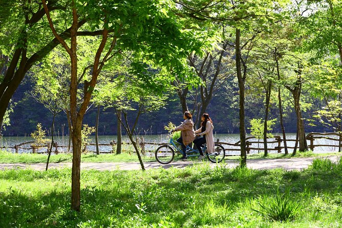 Mount Seorak and Nami Island One Day Tour from Seoul - Nami Island: Winter Sonata Walks, Tree-Lined Calm, and Your Pace