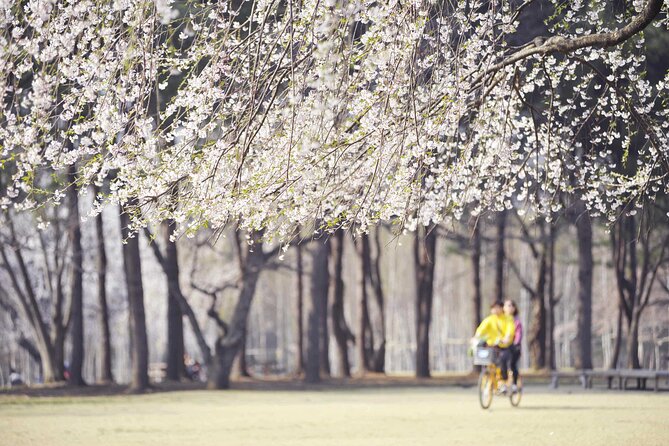 Mount Seorak and Nami Island One Day Tour from Seoul - The Role of Guides: How Names Kept Coming Up