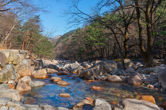 Mount Seorak and Nami Island One Day Tour from Seoul - Timing, Transport, and Why 12 to 13 Hours Feels Longer Than You Expect