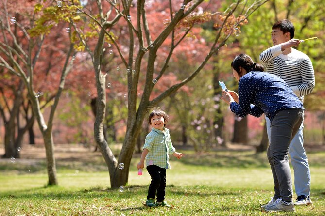 Mount Seorak and Nami Island One Day Tour from Seoul - Cable Car Choice: When It’s Worth It and When You Skip It