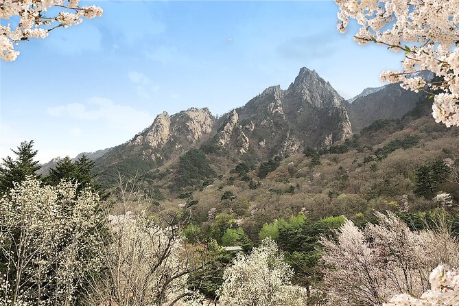 Mt. Seorak+Nami Island+Garden of Morning Calm Day Trip from Seoul - A Seoul day trip that swaps city time for forests and photo walks