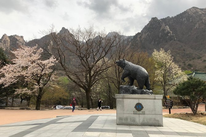 Mt. Seorak+Nami Island+Garden of Morning Calm Day Trip from Seoul - Stop 2: Nami Island ferry ride and 2.5 hours for strollers, walkers, and photographers