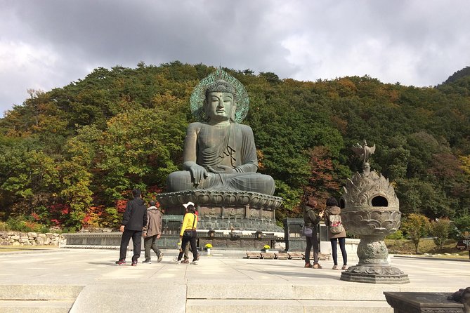 Mt. Seorak+Nami Island+Garden of Morning Calm Day Trip from Seoul - Stop 3: Garden of Morning Calm, where timing can make or break your visit